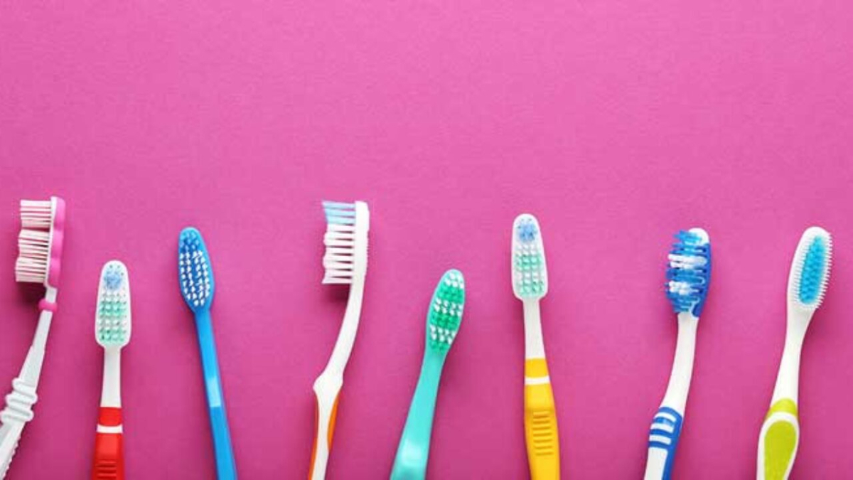 ECOVAS DE DENTE. QUAL A MELHOR?